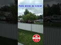 Аляска, Лосиха с лосятами гуляет возле дома, Анкоридж США