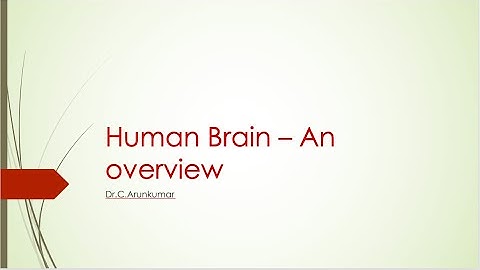Human brain - An Introduction