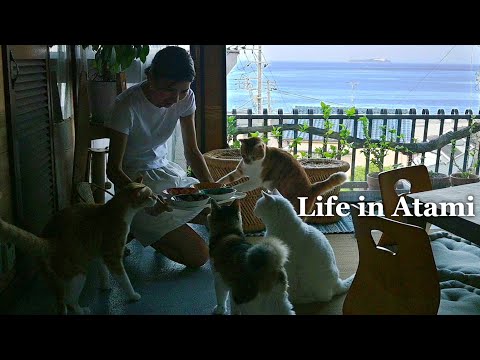 NEKO GA KURU Life in Atami - YouTube
