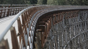 Walk the Trestle: Reflecting on the Kinsol Trestle, Phil Ives