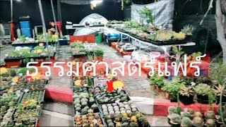 หารัยกิน!! งานธรรมศาสตร์แฟร์ ครั้งที่1(จัดขึ้นครั้งแรก)