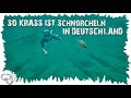 Silberkarpfen im Kulkwitzer See - Schnorcheln in Deutschland