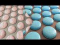 Mastering Macarons: Top 15 French Macaron Problems Fixed! #stayhome and master macarons #withme