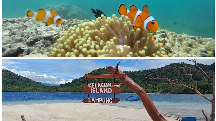 Trip Pulau Pahawang Lampung | Berenang Bareng Nemo...