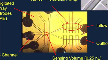 Biomedical Instrumentation Lecture: BioMEMS and Microfluidics 2