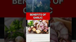 Benefits of Garlic ?  #shorts #health #benefits #garlic