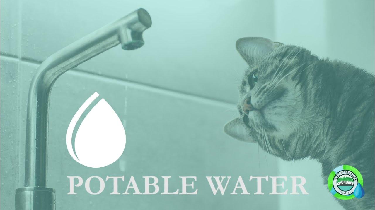 What’s the difference between wastewater, stormwater and potable water