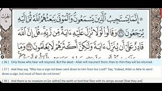 06 - Surah Al Anam - Yaser Salamah - Quran Recitation, Arabic Text, English Translation