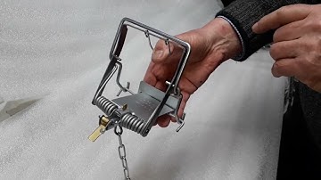 How to  set a Fenn trap.The safest and easiest way by far.