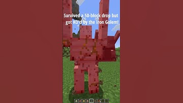 Which Mob Survives a 50-Block Fall? #minecraft #mobs #shorts #funny