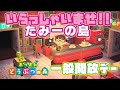 【あつまれどうぶつの森】たみーの島一般開放デー🌟【10:00-12:00】