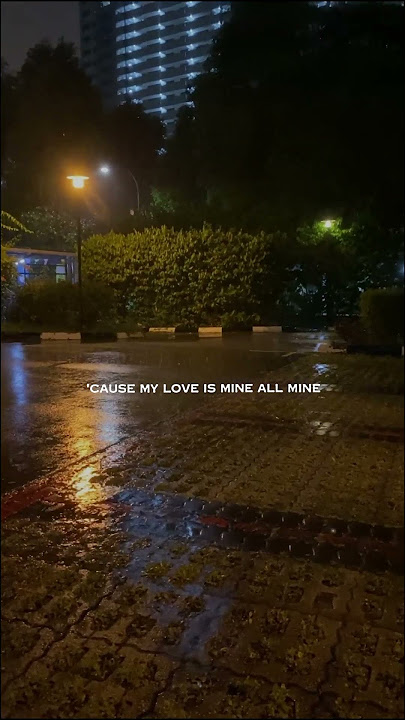 Mitski- My love Mine all mine ( Lyrics )