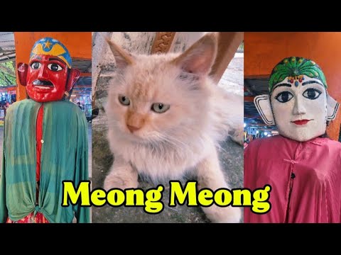 si MEONG MEONG ~ LAGU ANAK POPULER ~ LAGU ANAK BALITA INDONESIA ~ KIDS SONG