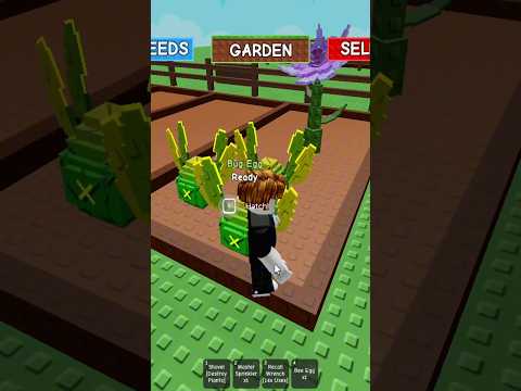 CAN WE GET THE DRAGONFLY IN 3 EGGS Grow A Garden Growagardenroblox Roblox Growagarden