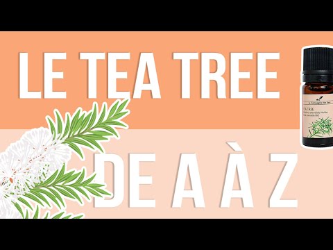 [HUILES ESSENTIELLES] À la découverte du Tea Tree