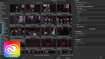 How to Ingest & Transcode Camera Footage in Adobe Prelude & Media Encoder | Adobe Creative Cloud