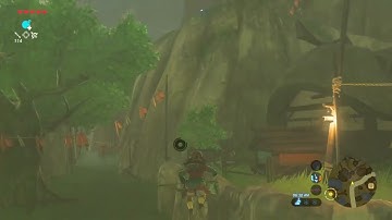 I just learned how to flight cancel reset lol (BotW Relics of the Past)
