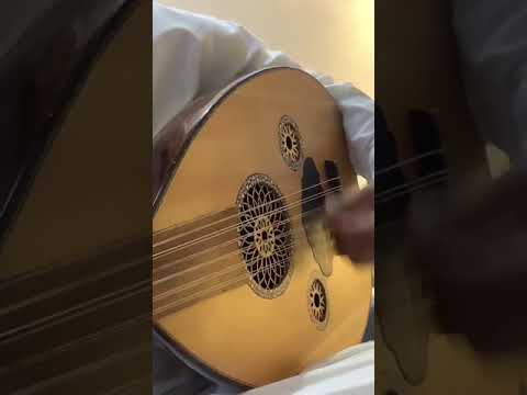 عزف اغنية هزت شعوري معاني ذكرها زيني