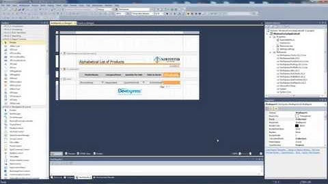 DevExpress Miracle Minute  Reporting