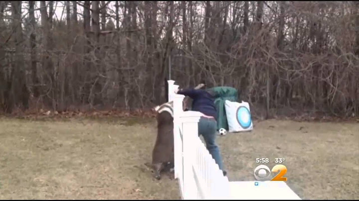 Family Shocked To Find Deer Stuck In Backyard Fence