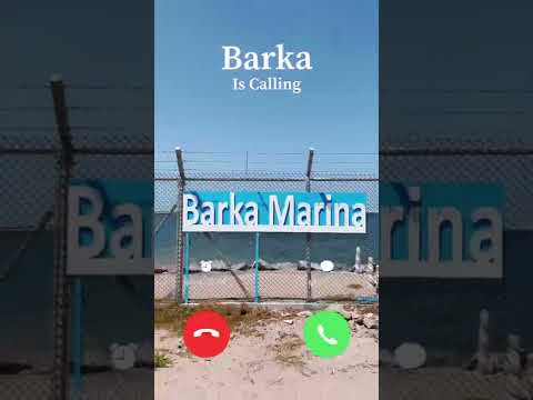 نستو بركاء الافتتاح قريبا            9932 8168