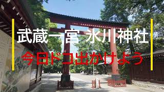 【氷川神社とキセキ】氷川神社(Vlog埼玉）  hikawajinja Saitama-Japan 【4K】