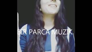 Vur Vur Kader Birdaha