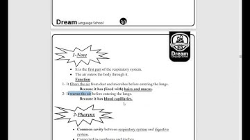 Junior 4 science unit 1 lesson 2 respiratory system