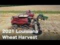 2021 Louisiana Wheat Harvest  4K - My first time in a wheat field !