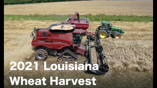 2021 Louisiana Wheat Harvest  4K - My first time in a wheat field !