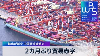 2カ月ぶり貿易赤字　輸出が減少 中国経済減速で【WBS】（2023年8月17日）