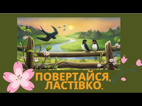 Повертайся ластівко Мінус Текст Муз В Верменича сл М Сингаївського