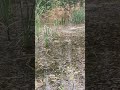I was surprised to go fishing with a small ticket 12