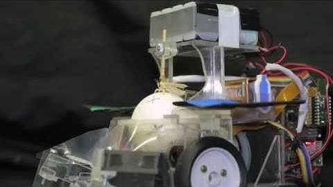 Moth Drives Car to Pick Up Girls