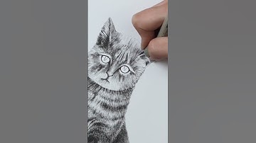 Draw a cat with me! // realistic drawing with ink pens #fineliner #drawing #art #ink #drawingtut