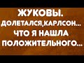 Жуковы// Долетался, Карлсон... // Что я нашла положительного// Обзор видео//