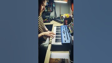 Cobalt8 by Modal Electronics sounds beautiful by @accelerator.jengold #shorts #synth