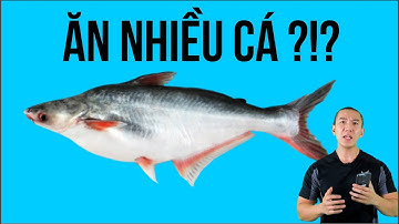 Ăn nhiều CÁ chắc chắn bạn sẽ dễ giảm cân hơn so với Ăn nhiều THỊT #giamcan #ryanlongfitness #junie