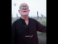 مزارع عراقي ينجح بإعادة الحياة لبساتين النخيل في الفاو مزارع عراقي ينجح بإعادة الحياة لبساتين النخيل في الفاو