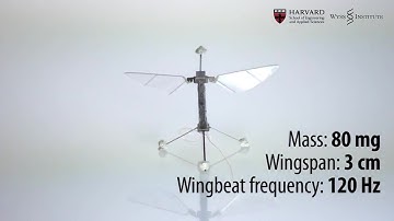 Harvard Microrobotics Lab - RoboBee Micro Air Vehicle Flight Test [720p]