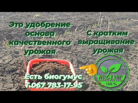 Это удобрение биогумус основа качественного урожая.Восстанавливая плодородие любого грунта.