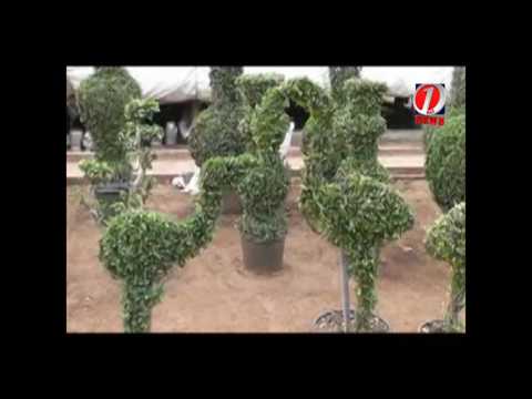 Videó: Green Animals Topiary Garden - Fotótúra és útmutató