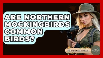 Are Northern Mockingbirds Common Birds? - Bird Watching Diaries