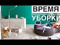 Уборка новой квартиры! Таффи руководит процессом😬 ВЕЛЬШ КОРГИ