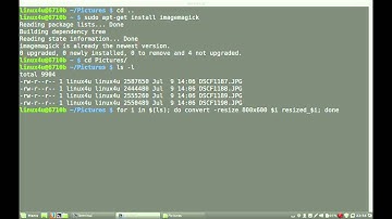 Image batch processing with the command-line