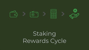 Cardano Staking Rewards Cycle Explained