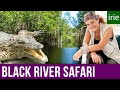 Black river safari wetlands jamaica guide