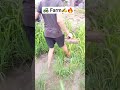 #shortsfeed #trending #shorts #youtubeshorts #love #song #trends #dance #funnyvideos #viralvideo