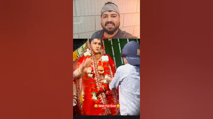 Video 11787631: funny cat playing