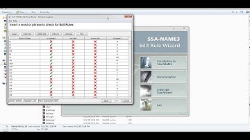 Data Profiling using Frequency Report in IIR (Informatica Identity Resolution)
